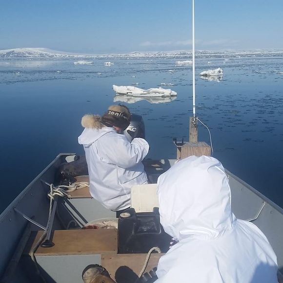 Meet your Posher, Craig - Picture 1 of 1